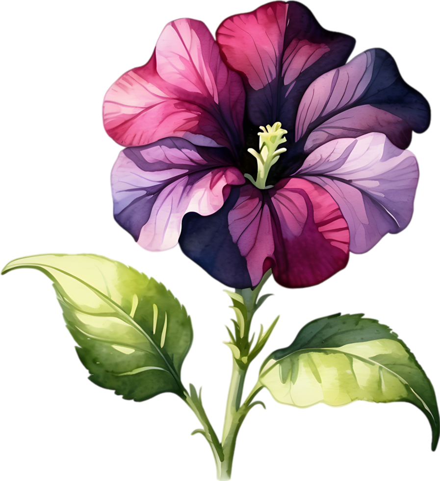 ai generiert Aquarell Gemälde von ein Petunie schwarz Samt Blume. png