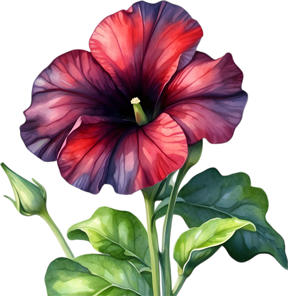 ai generiert Aquarell Gemälde von ein Petunie schwarz Samt Blume. png