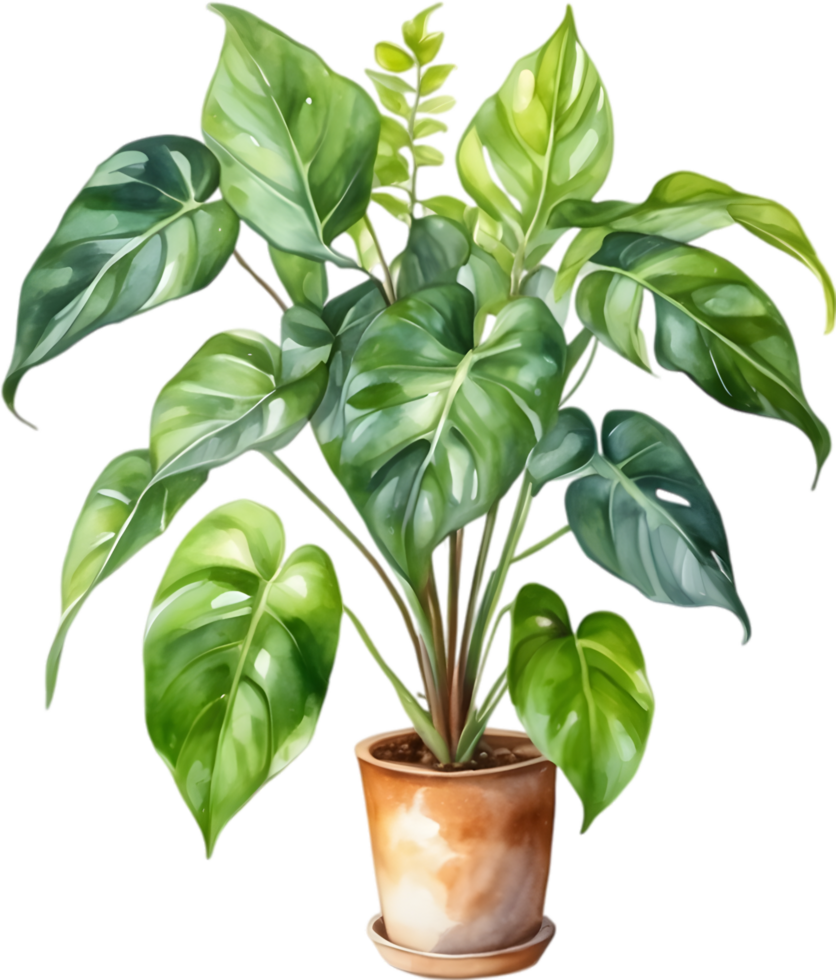 AI generated Watercolor painting of the Philodendron Brasil plant. png