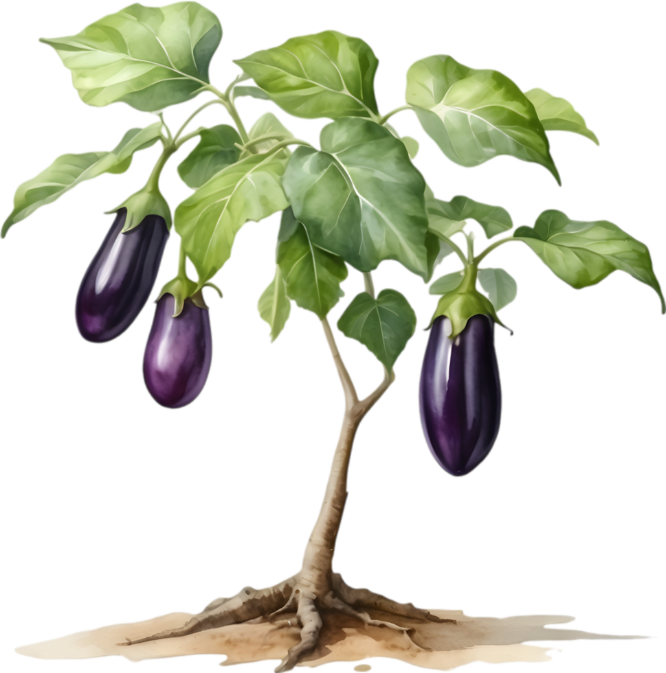AI generated Eggplant tree, watercolor painting of an eggplant tree. png