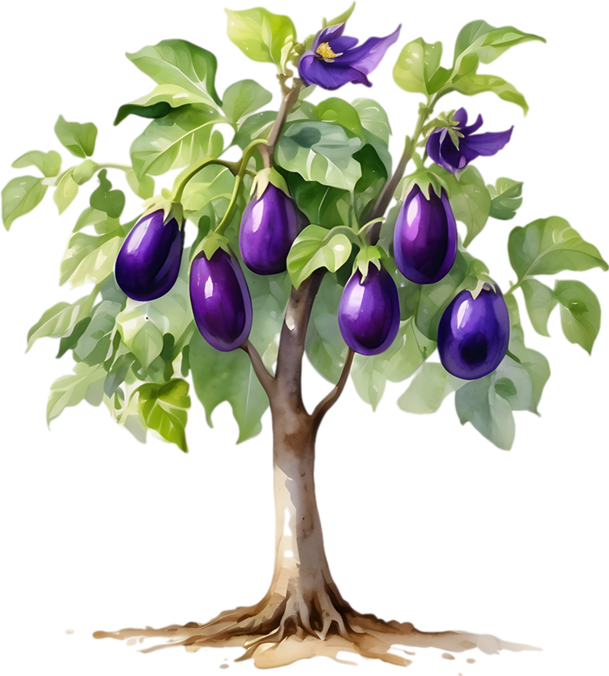 AI generated Eggplant tree, watercolor painting of an eggplant tree. png