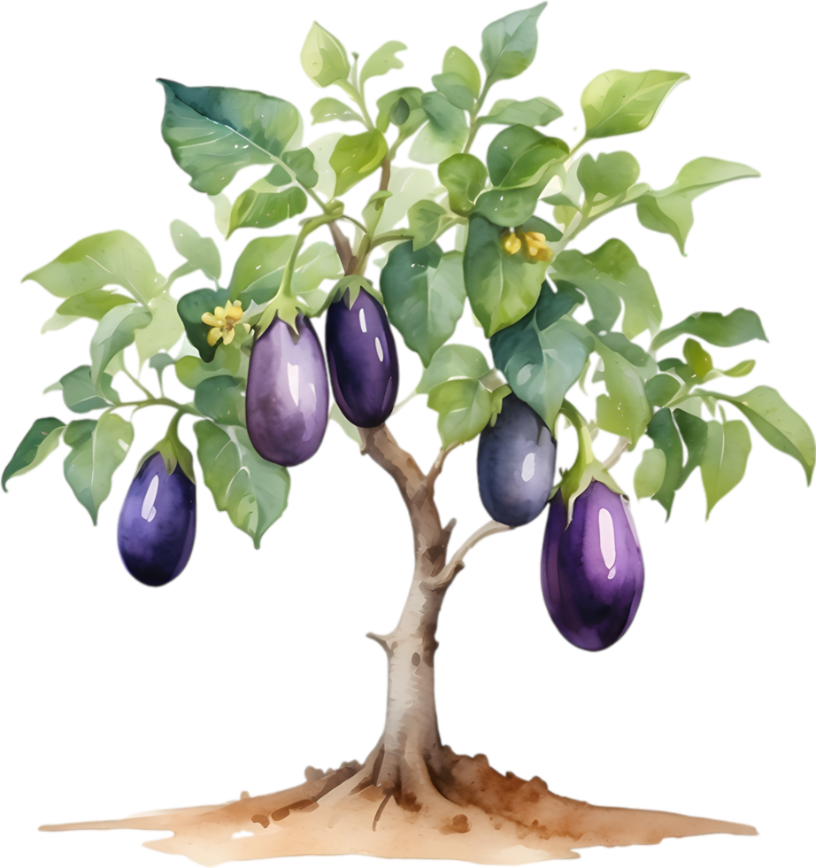 AI generated Eggplant tree, watercolor painting of an eggplant tree. png