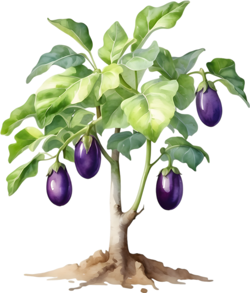 AI generated Eggplant tree, watercolor painting of an eggplant tree. png