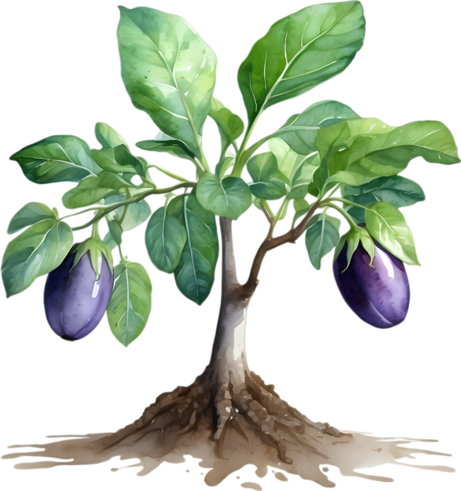 AI generated Eggplant tree, watercolor painting of an eggplant tree. png