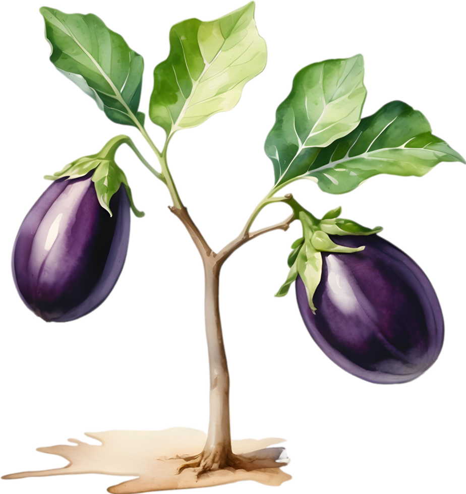 AI generated Eggplant tree, watercolor painting of an eggplant tree. png