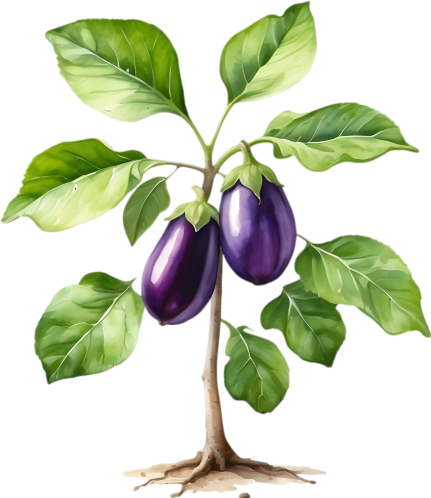 AI generated Eggplant tree, watercolor painting of an eggplant tree. png