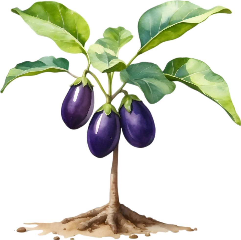 AI generated Eggplant tree, watercolor painting of an eggplant tree. png