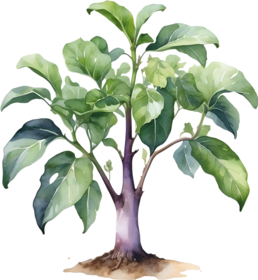 AI generated Eggplant tree, watercolor painting of an eggplant tree. png