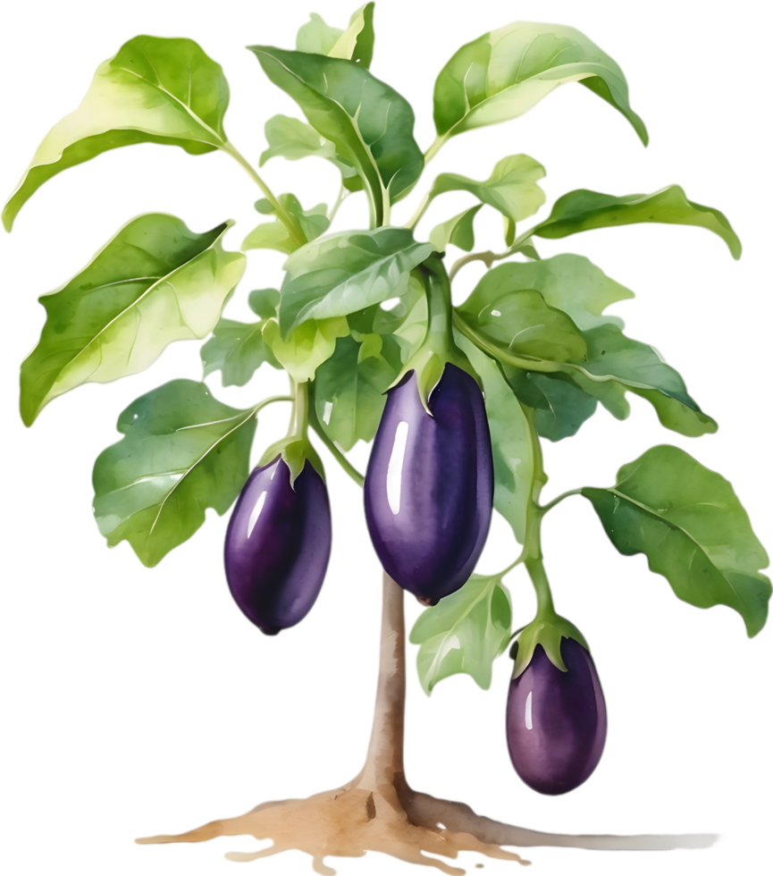 AI generated Eggplant tree, watercolor painting of an eggplant tree. png