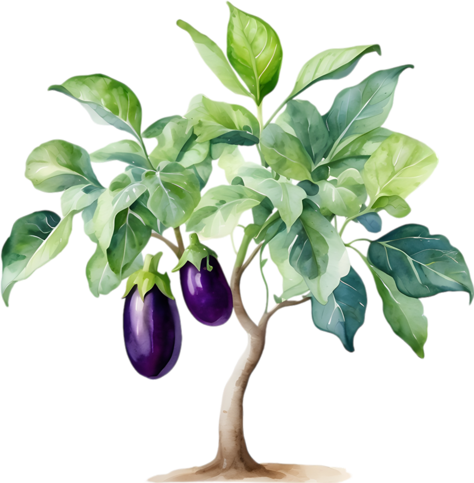 AI generated Eggplant tree, watercolor painting of an eggplant tree. png