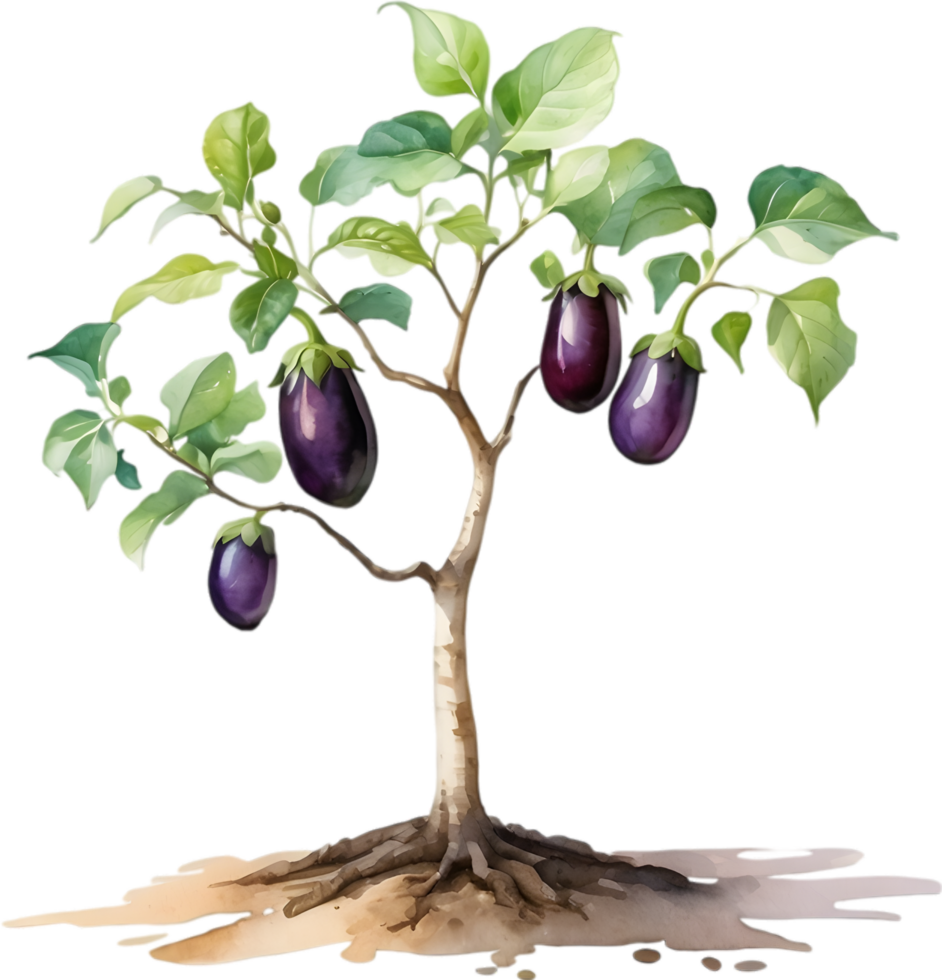 AI generated Eggplant tree, watercolor painting of an eggplant tree. png