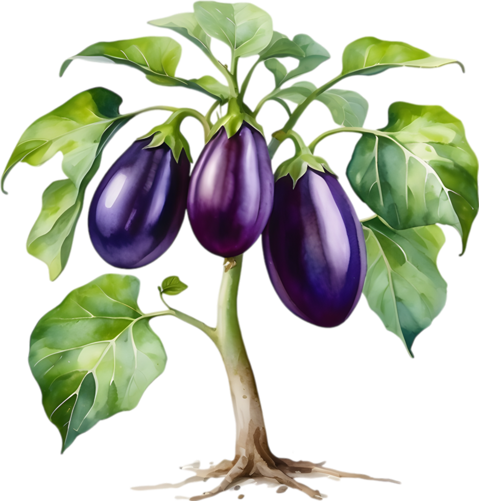 AI generated Eggplant tree, watercolor painting of an eggplant tree. png