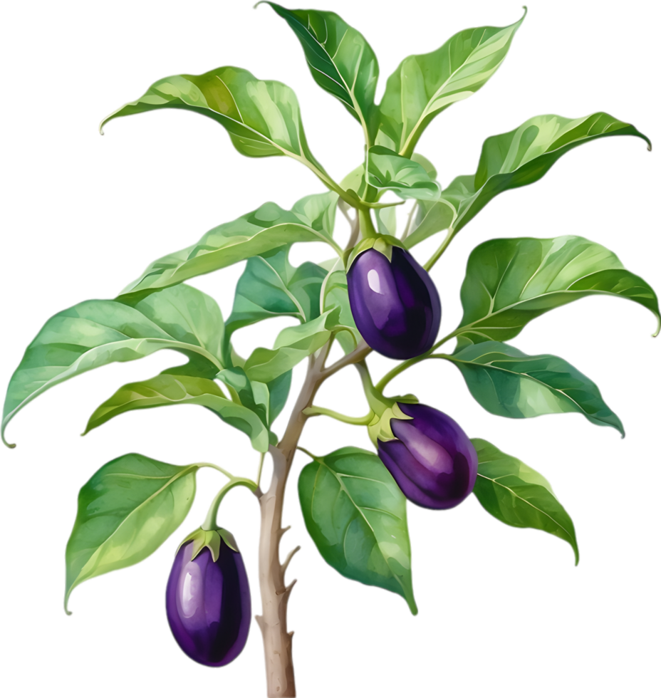 AI generated Eggplant tree, watercolor painting of an eggplant tree. png