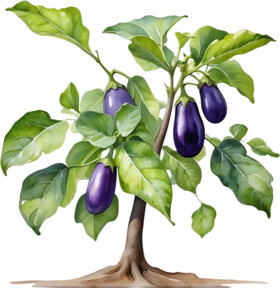 AI generated Eggplant tree, watercolor painting of an eggplant tree. png