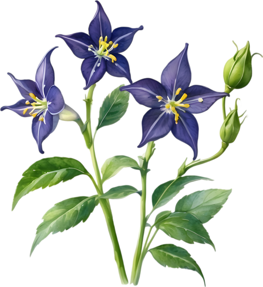 AI generated Nightshade Flowers, Close-up painting of Nightshade Flowers. png