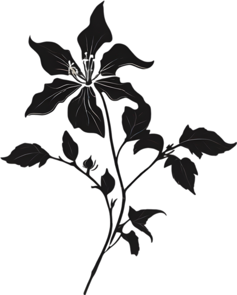 ai généré morelle noire fleurs, fermer La peinture de morelle noire fleurs. png