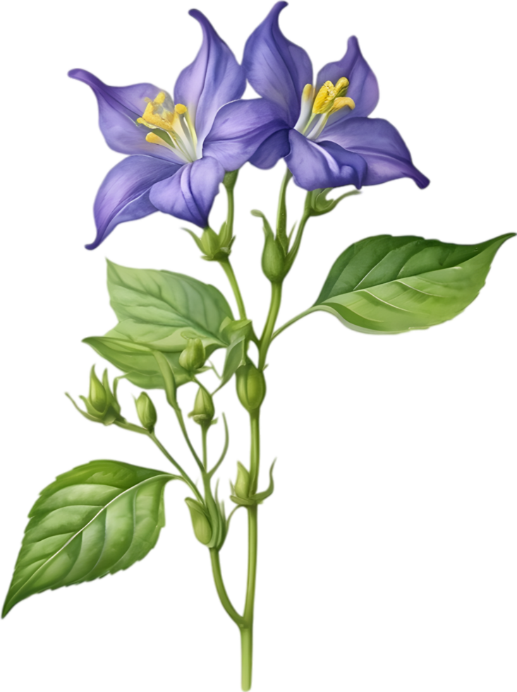 AI generated Nightshade Flowers, Close-up painting of Nightshade Flowers. png