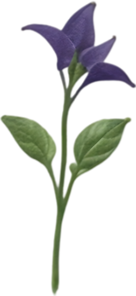 AI generated Nightshade Flowers, Close-up painting of Nightshade Flowers. png