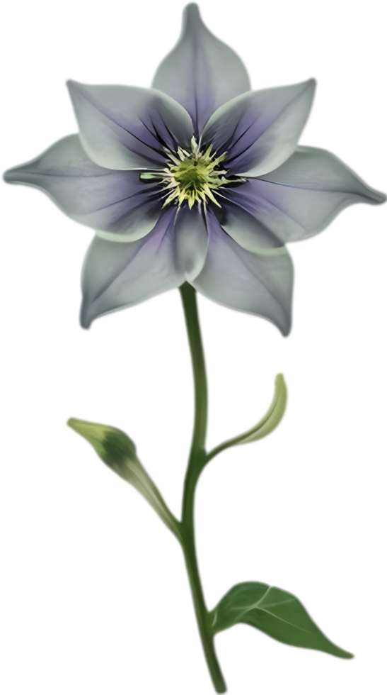 AI generated Nightshade Flowers, Close-up painting of Nightshade Flowers. png
