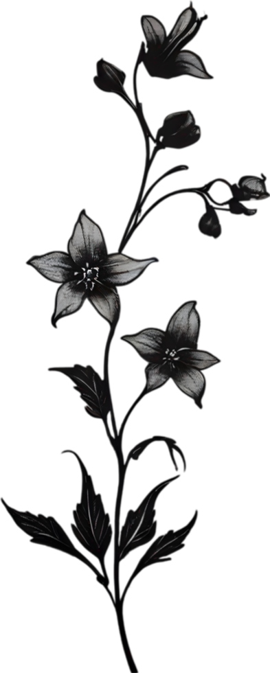 AI generated Nightshade Flowers, Close-up painting of Nightshade Flowers. png