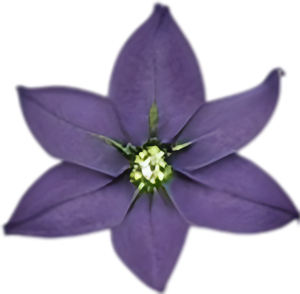 AI generated Nightshade Flowers, Close-up painting of Nightshade Flowers. png
