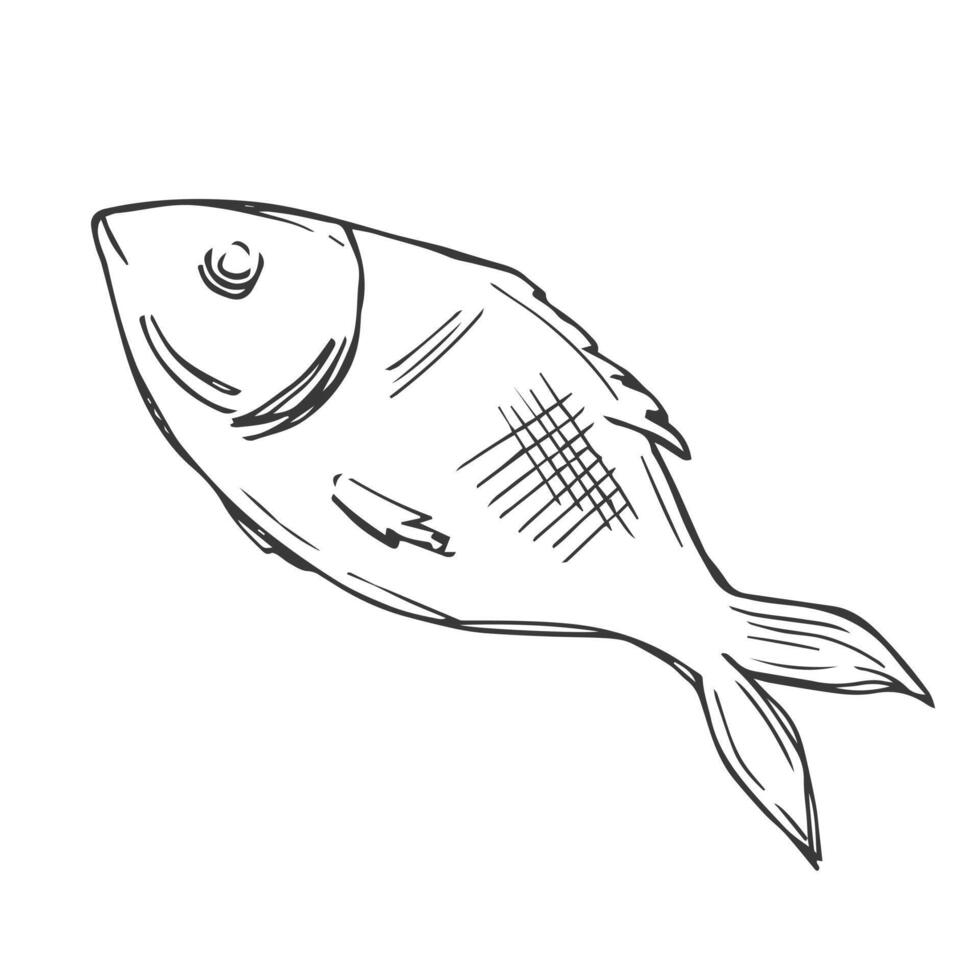 crudo pescado mano dibujado contorno garabatear icono. vector bosquejo ilustración de sano Mariscos