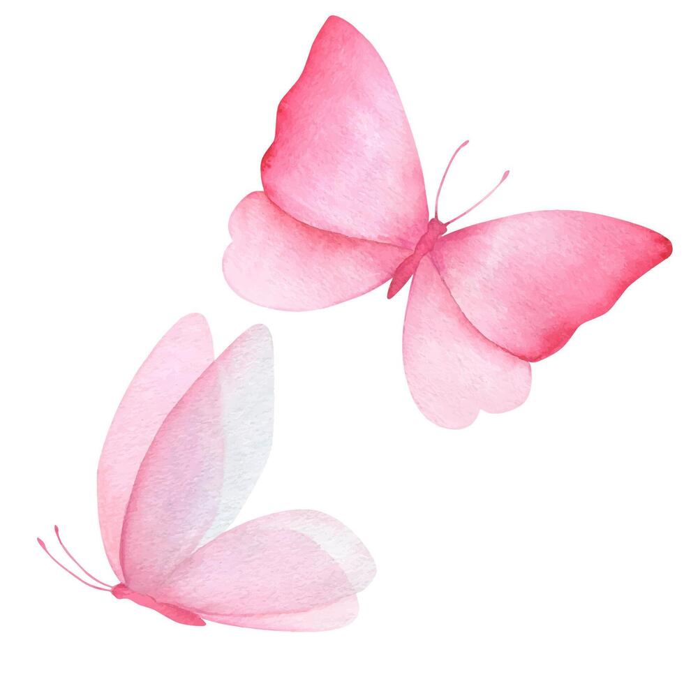 Watercolor illustration of delicate pink butterflies. Handmade, isolated vector