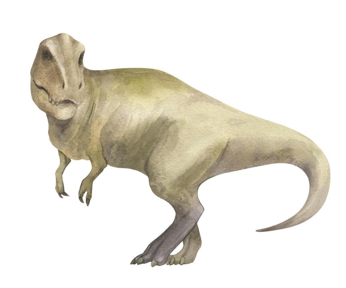 Watercolor illustration of a dinosaur Tyrannosaurus rex, watercolor texture, handmade, isolated. For children's room decor, poster, invitation vector