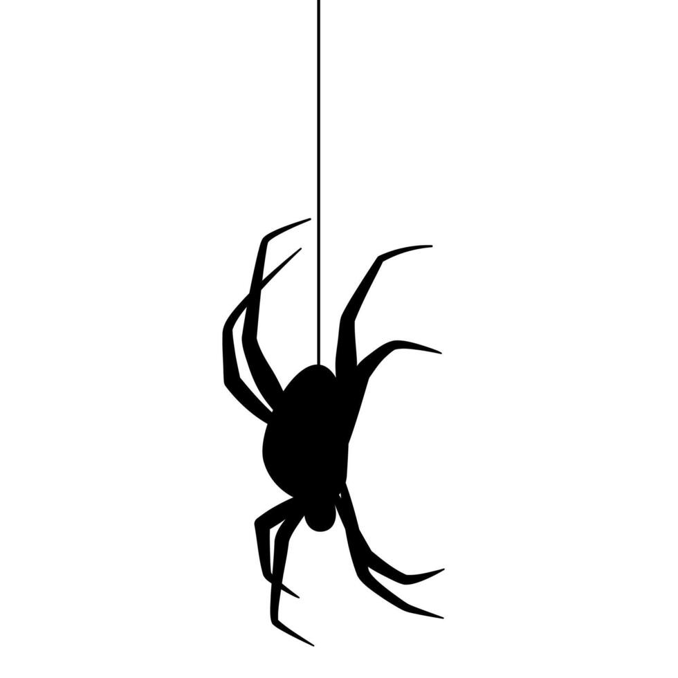 spider silhouette illustration vector