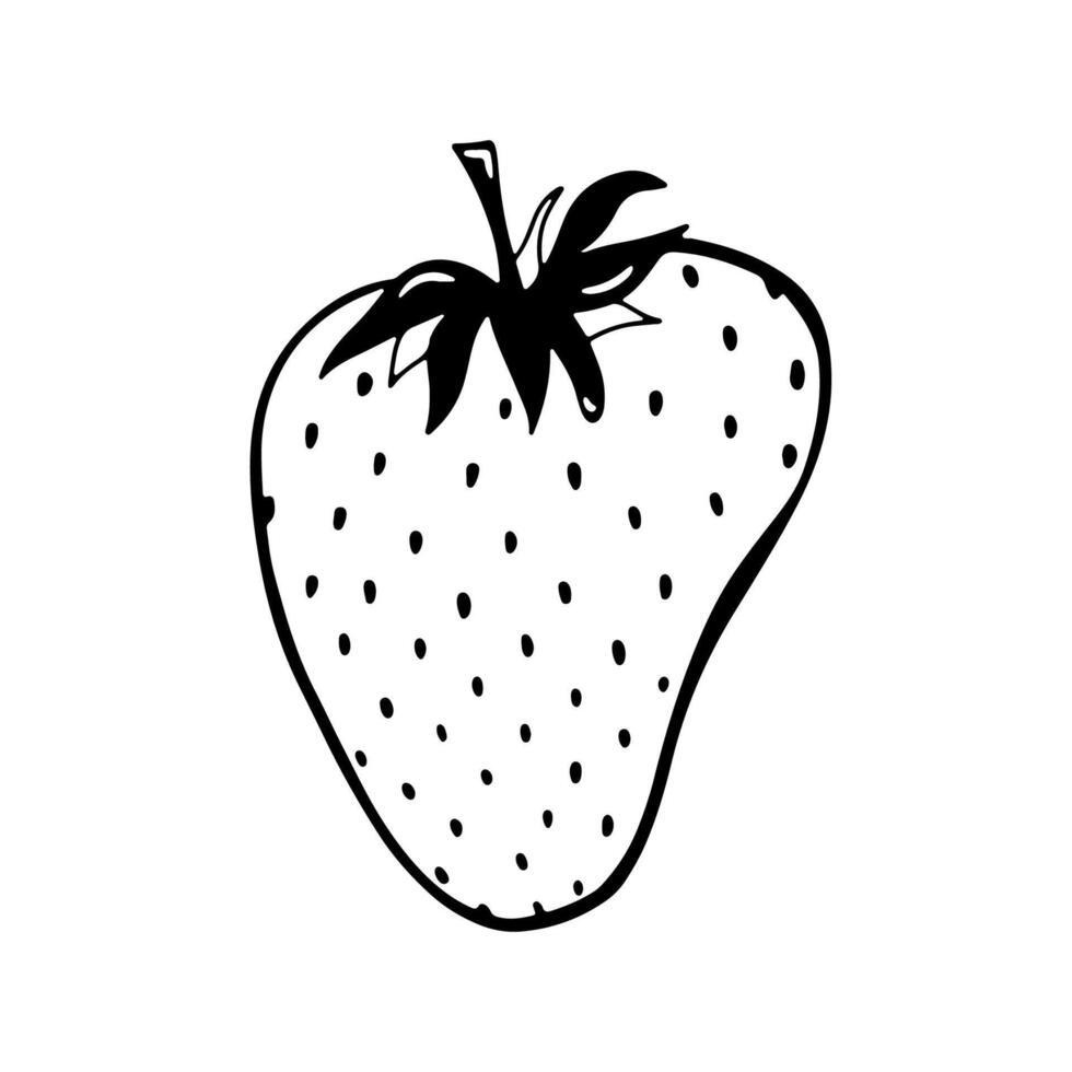 Doodle single strawberry vector illustration. Black hand drawn abstract fruit with leaves. Sketch berry drawing isolated on white background. Design element for poster, menu, cover, brochure