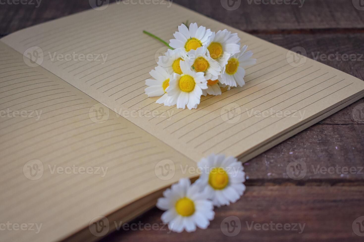 libro y margaritas flor en de madera antecedentes foto