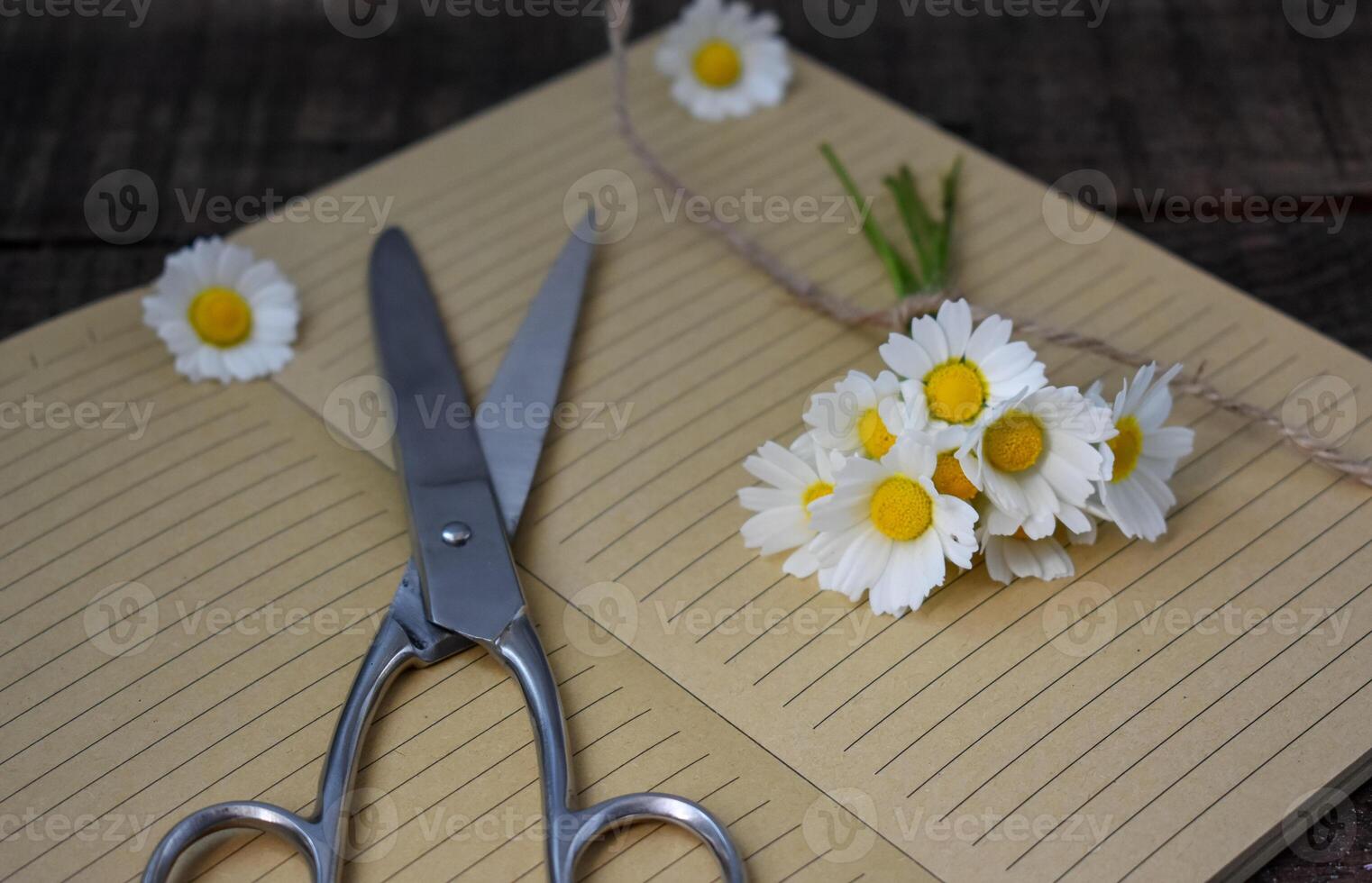 Flowers on book Background photo