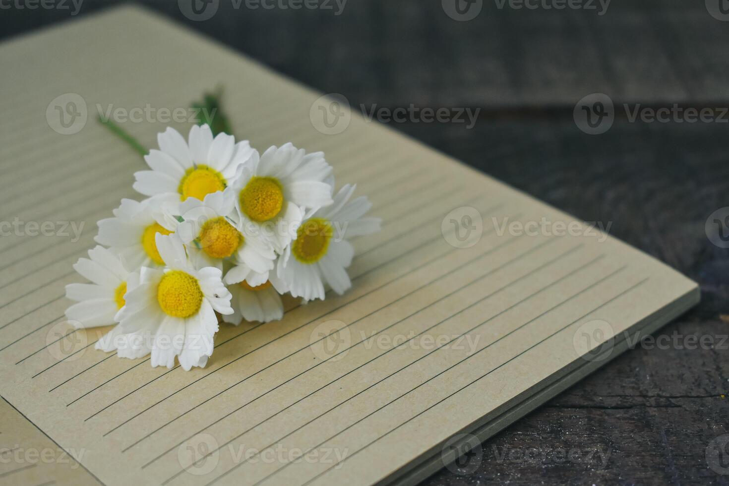 Flowers on book Background photo