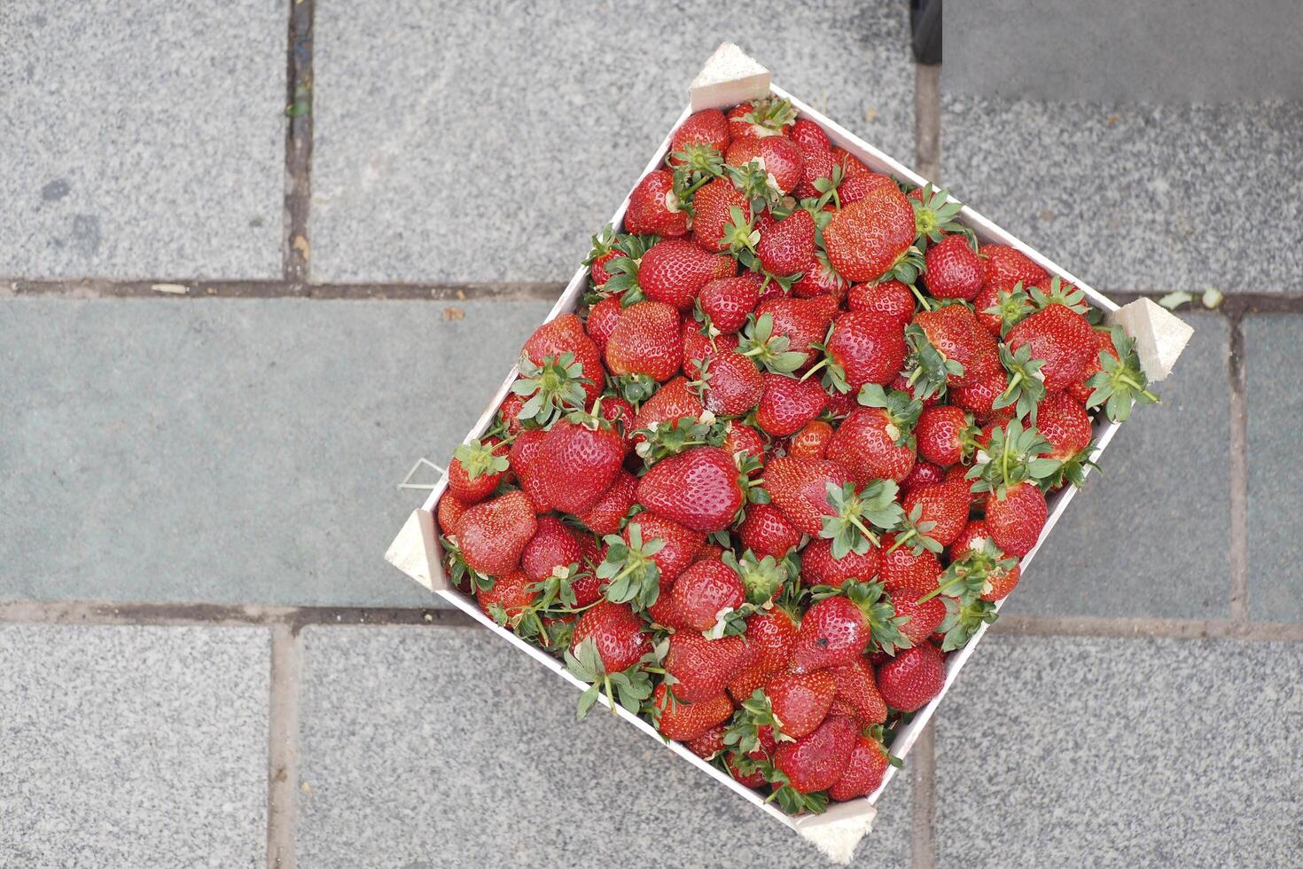 Strawberry boxes of freshly picked strawberries photo