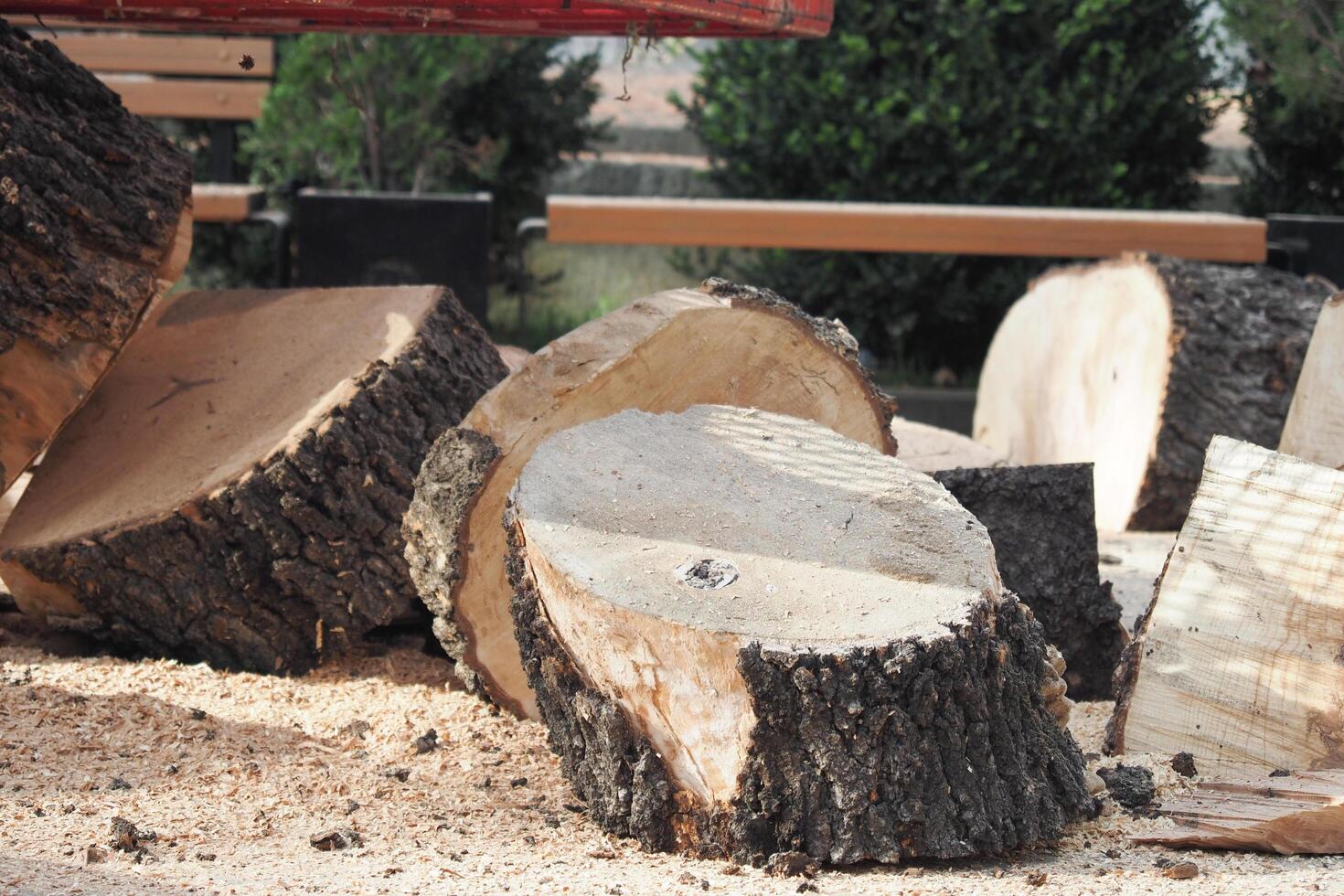 Stack of hardwood logs create a rustic landscape in front of the house photo