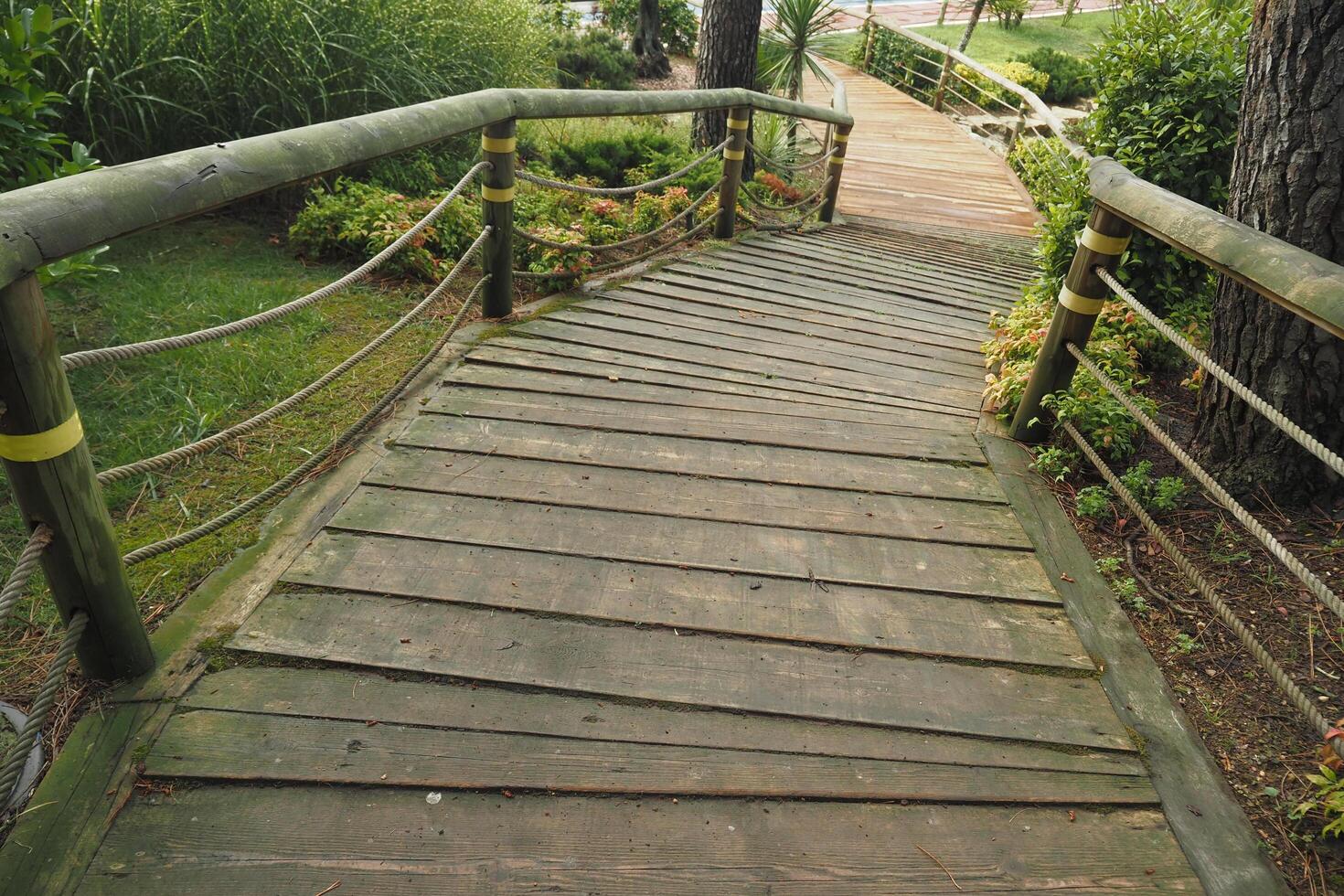 Wooden boardwalk with rope railing and stairs in natural landscape photo