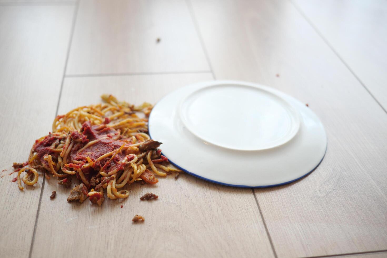 Spaghetti and sauce spilled on floor. photo
