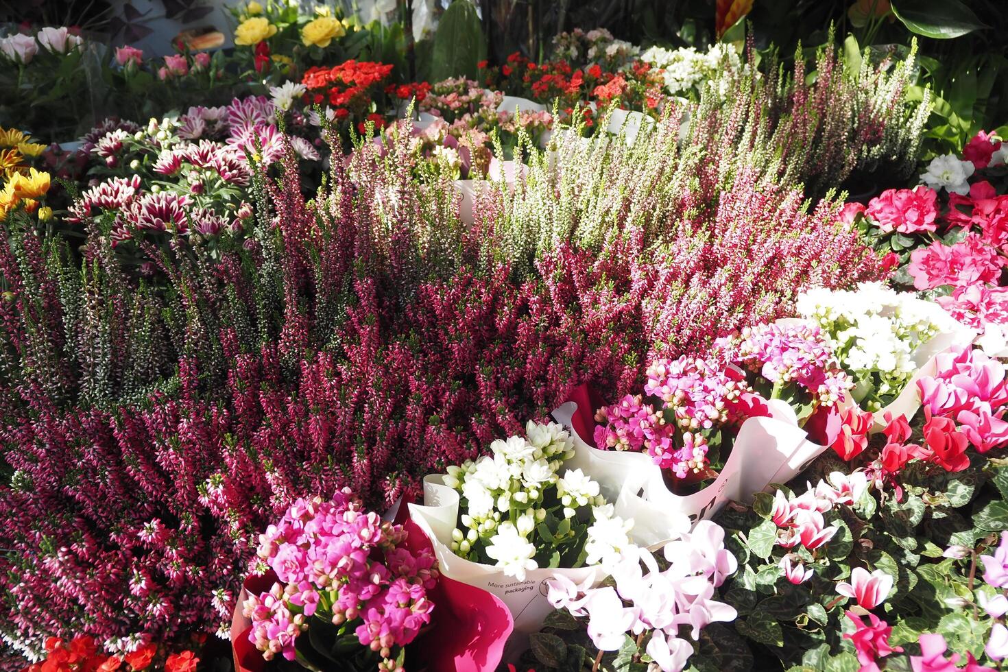 flower shop in istanbul, flower display for selling at street shop , photo