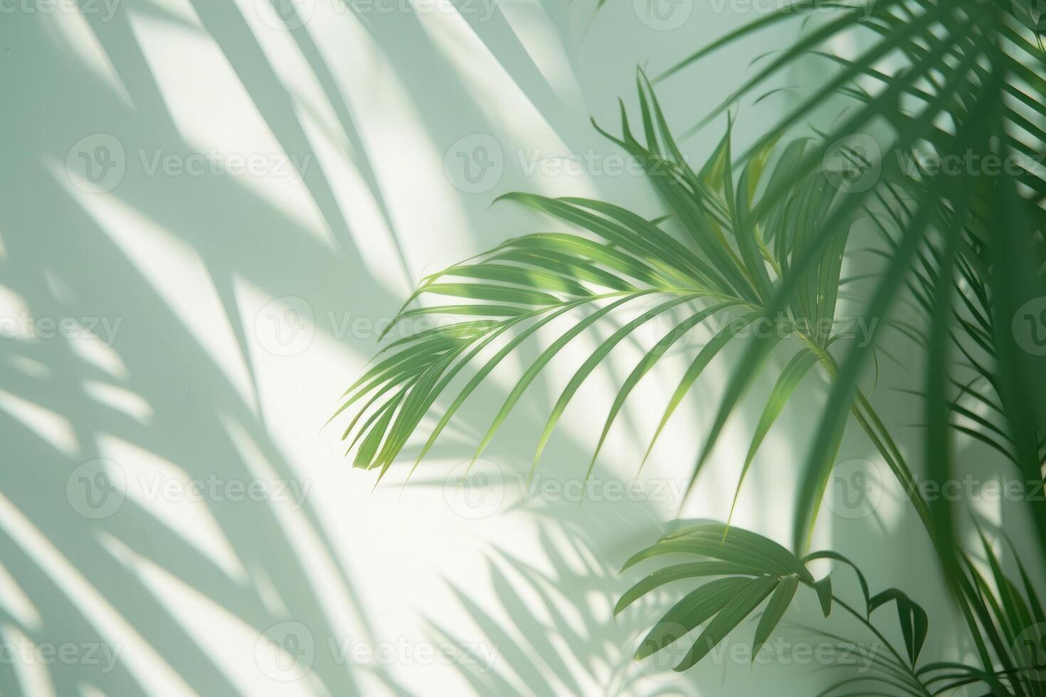 AI generated palm leaves with space on white background photo