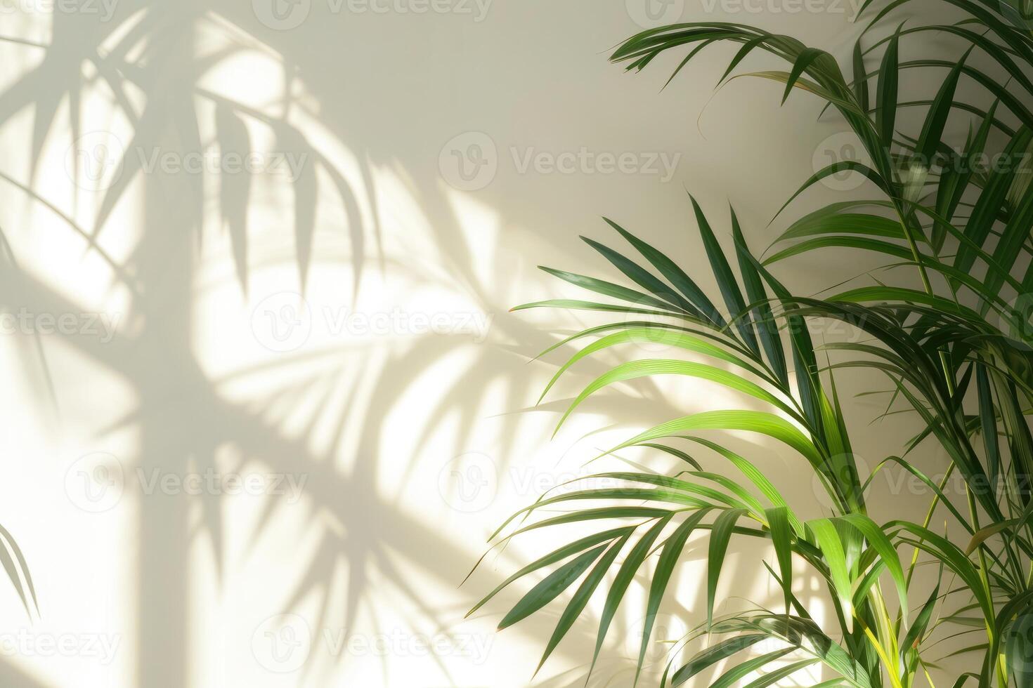 AI generated palm leaves with space on white background photo