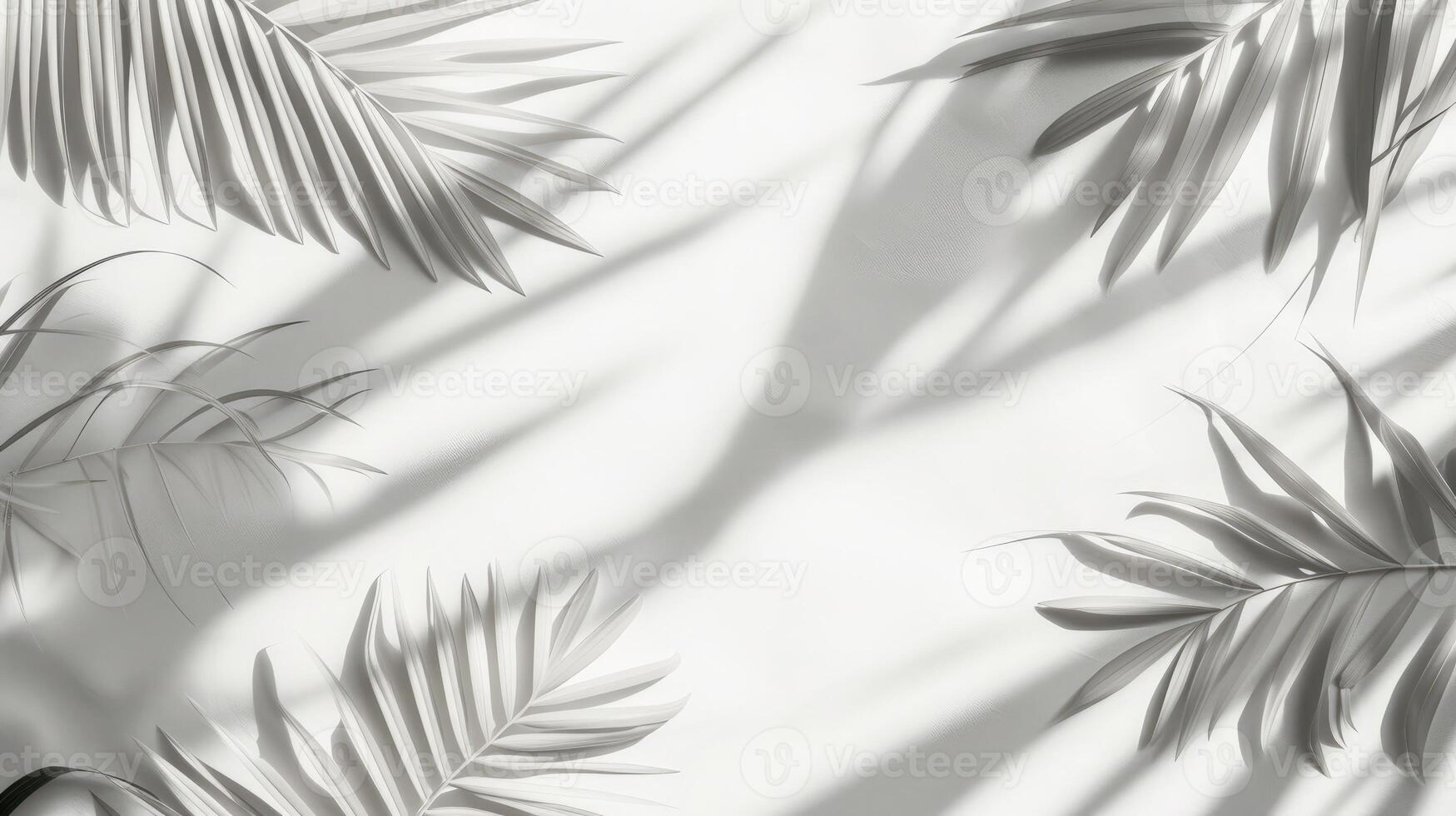 AI generated palm leaves with space on white background photo