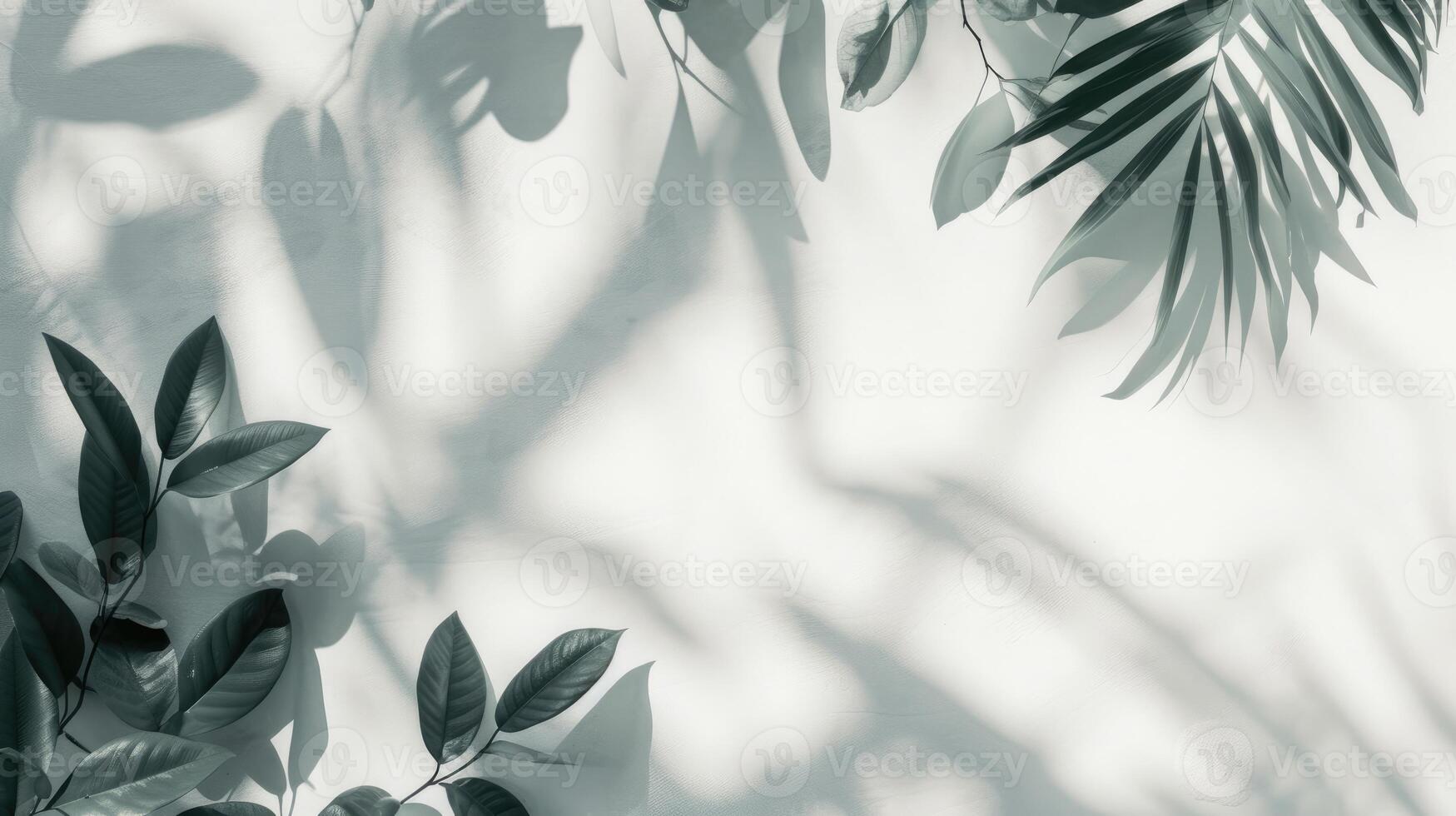 AI generated palm leaves with space on white background photo