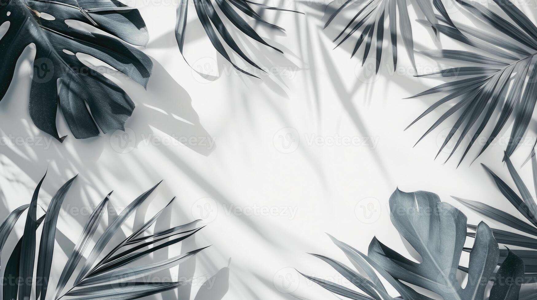 AI generated palm leaves with space on white background photo