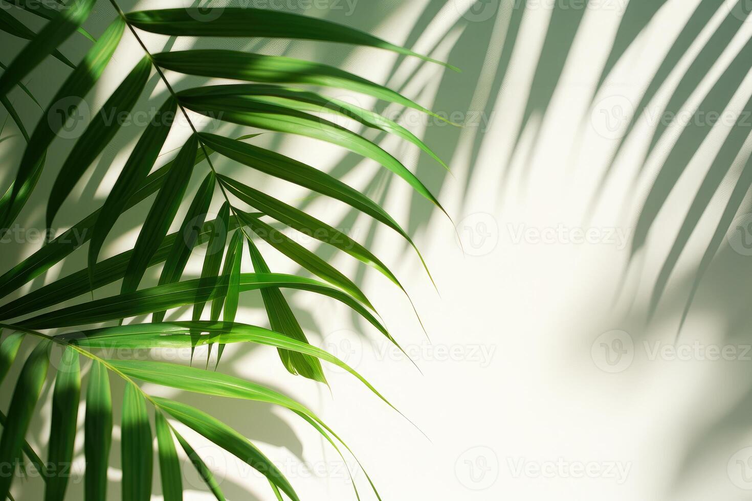 AI generated palm leaves with space on white background photo