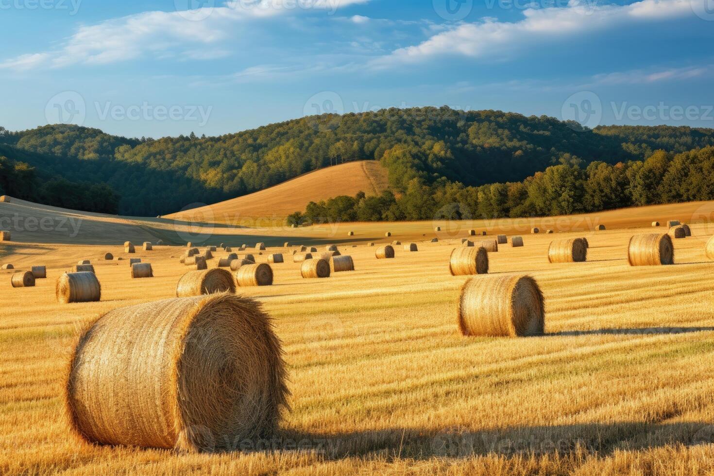 AI generated serene hay field with beautiful sky photo