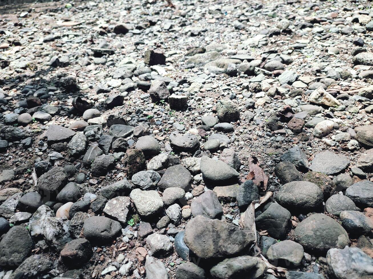 Smooth round pebbles texture background. Pebble sea beach close up, dark wet pebbles and gray dry pebbles photo