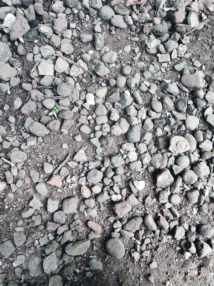 Smooth round pebbles texture background. Pebble sea beach close up, dark wet pebbles and gray dry pebbles photo