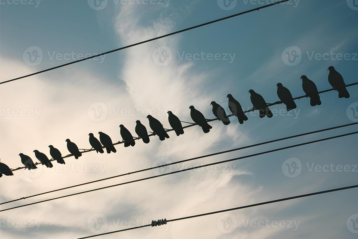 AI generated Pigeons on electric wire create silhouette against sky backdrop photo