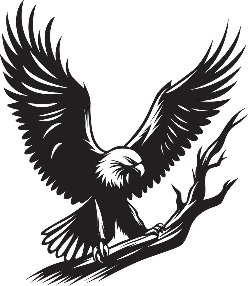 Eagle sitting on tree branch, Eagle Vector illustration