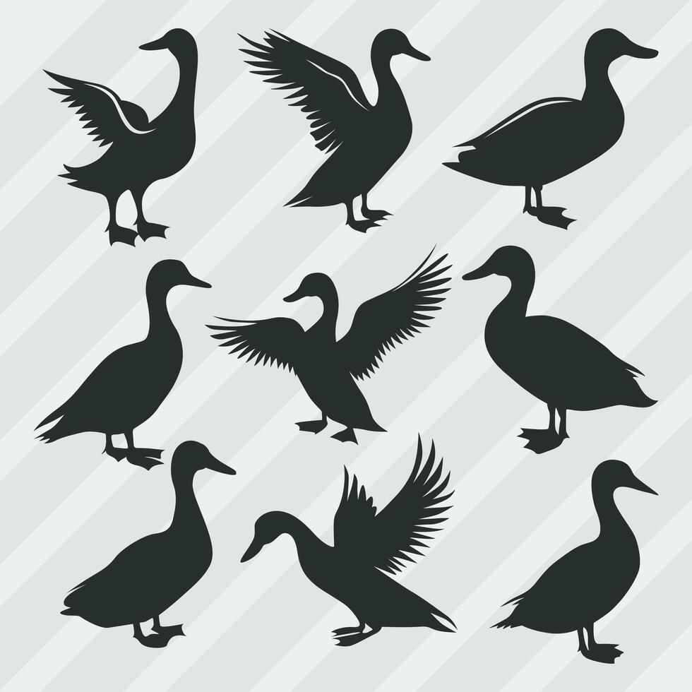 Duck vector silhouettes bundle, Set of various pose duck collection